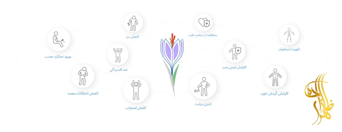 خواص دارویی زعفران و موارد منع مصرف